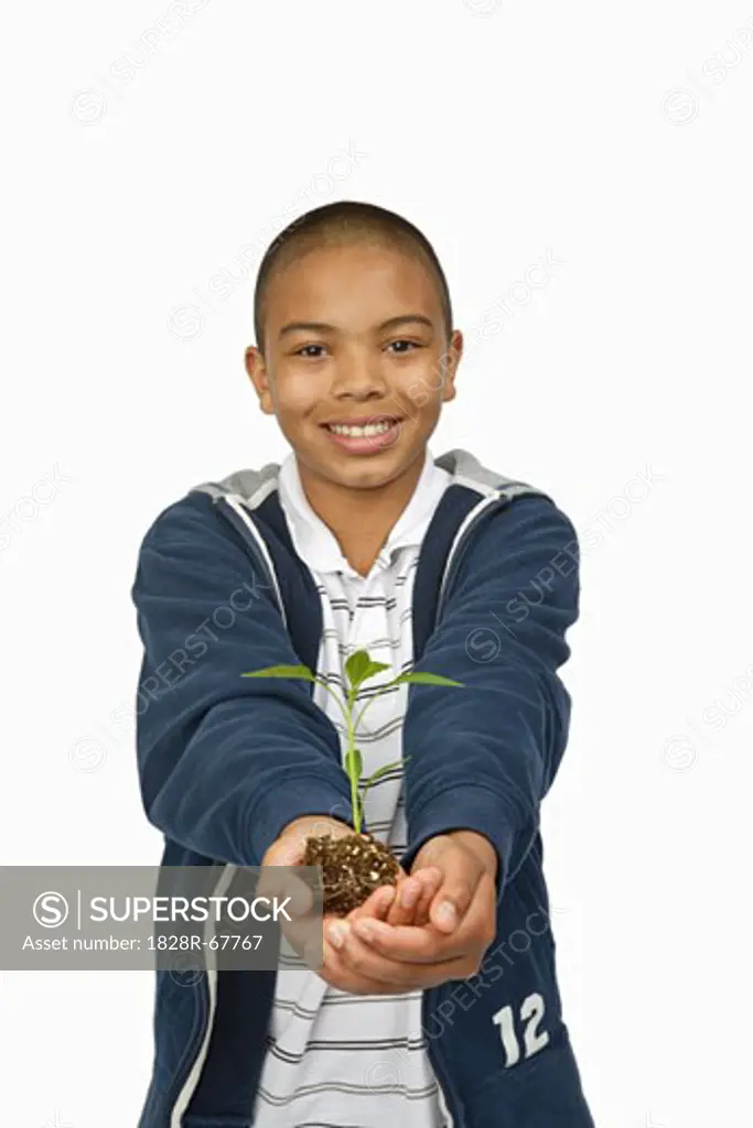 Boy Holding Sapling