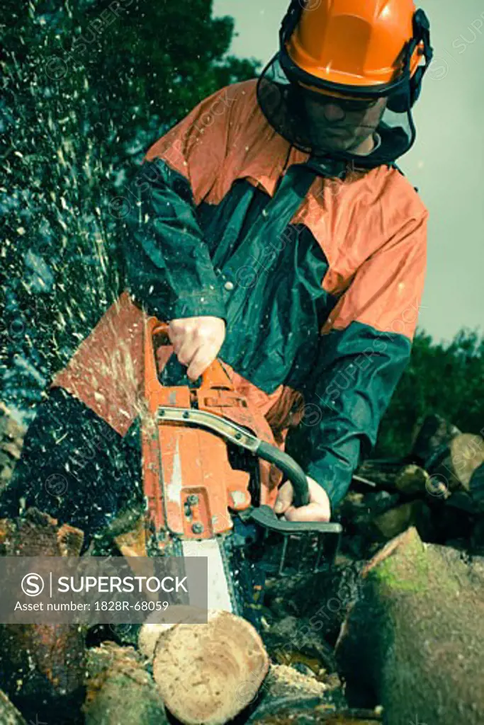 Man Cutting Tree with Chainsaw