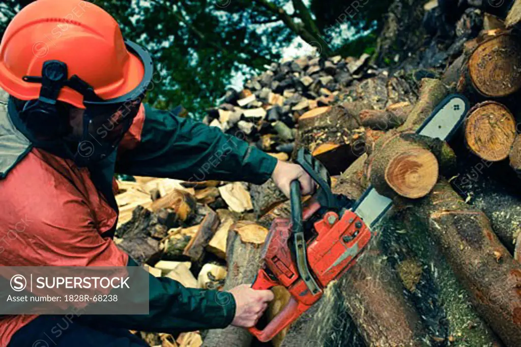 Man Cutting Tree with Chainsaw, Devon, England