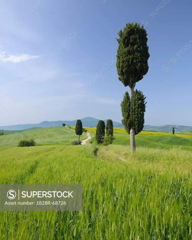 Pienza, Siena Province, Val d'Orcia, Tuscany, Italy