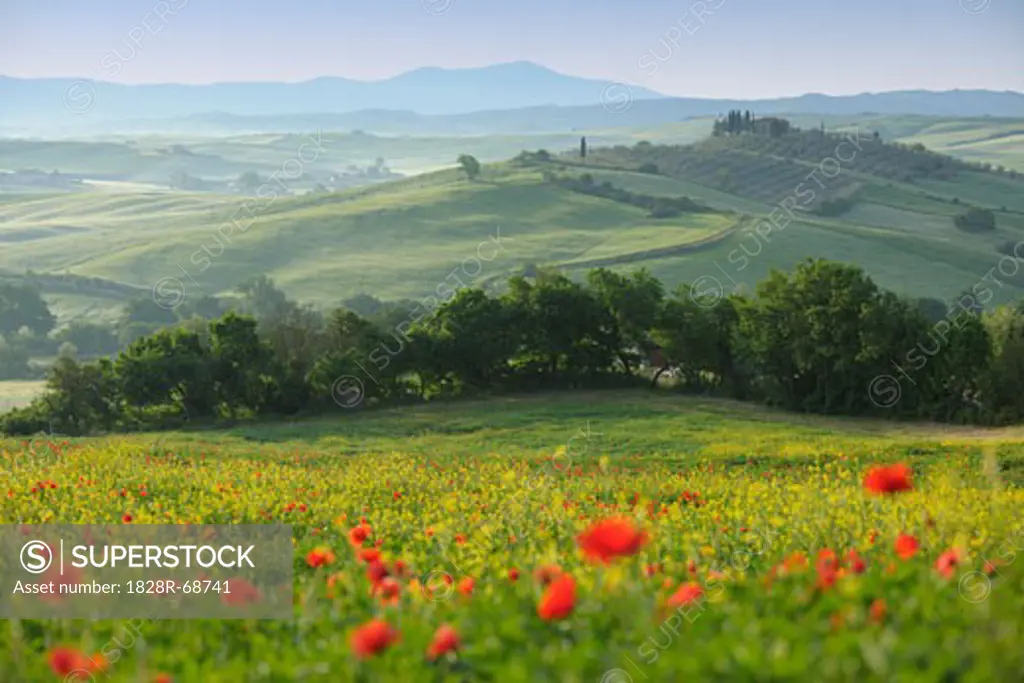 Castiglione d'Orcia, Siena Province, Val d'Orcia, Tuscany, Italy