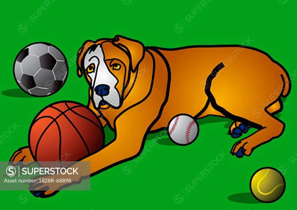 Illustration of Dog with Balls