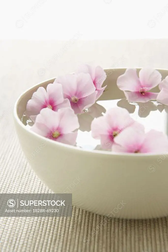 Flowers in a Bowl