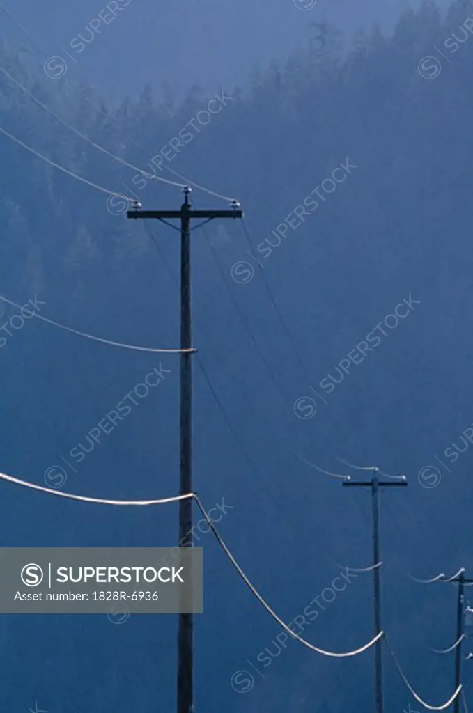 Power and Telephone Lines   