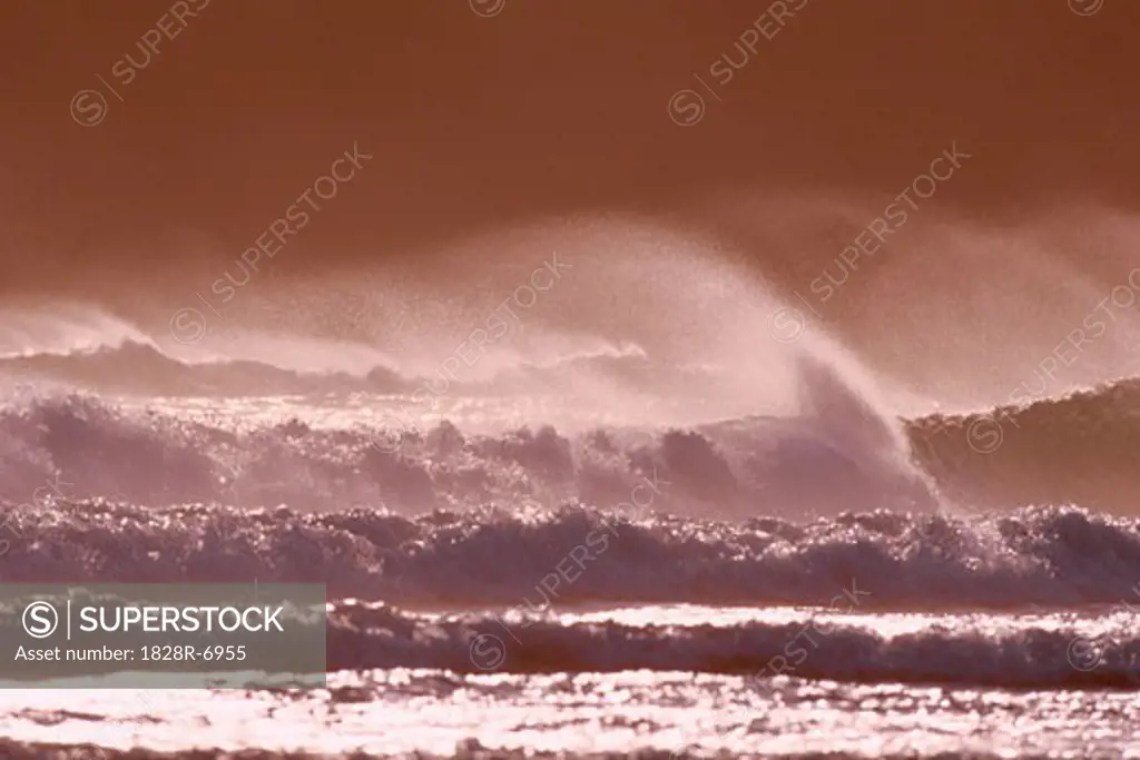 Wind Waves, Oregon Coast, Oregon, USA   