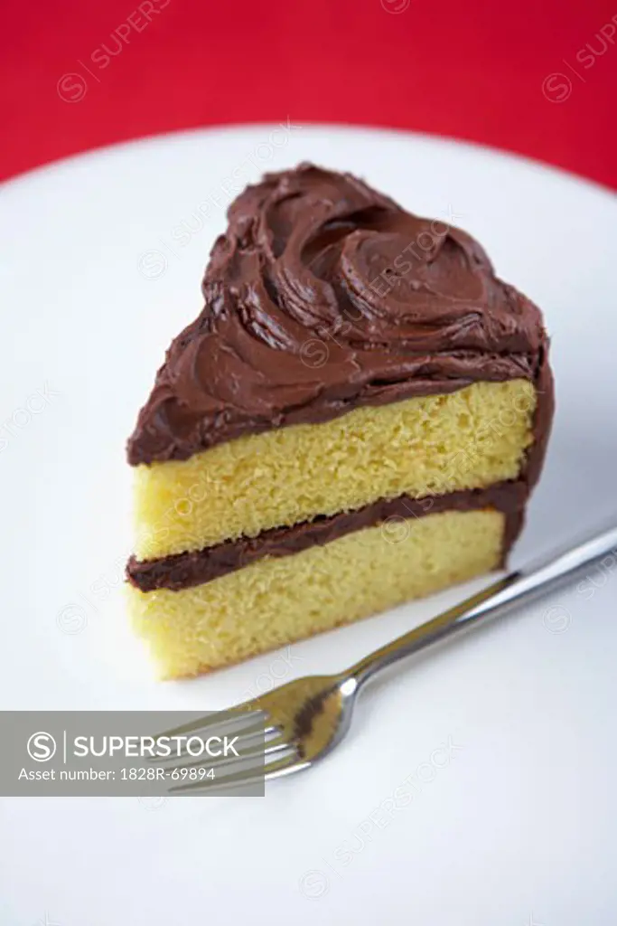 Slice of Cake with Chocolate Icing