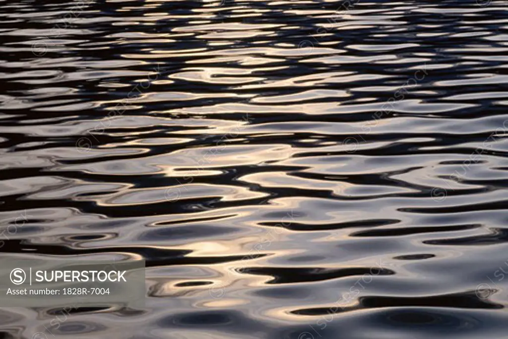 Water Pattern, Labrador, Canada   