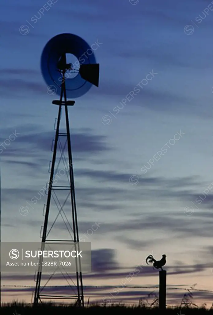 Rooster and Windmill at Dawn,   