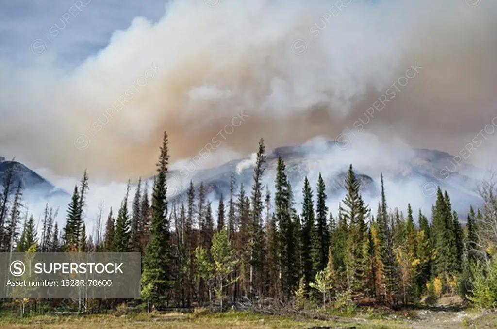 Forest Fire, Banff National Park, Alberta, Canada