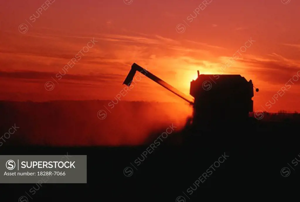 Combine Harvester at Sunset   
