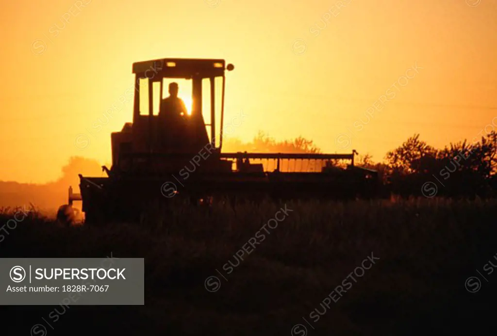 Tractor Cutting Hay at Sunset, Alberta, Canada   