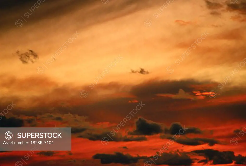 Sunset, Cardinal Divide, Alberta, Canada   