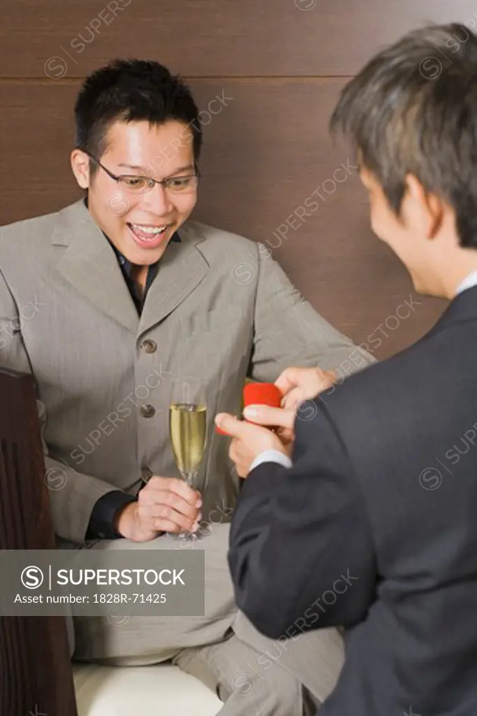 Man Proposing to His Partner