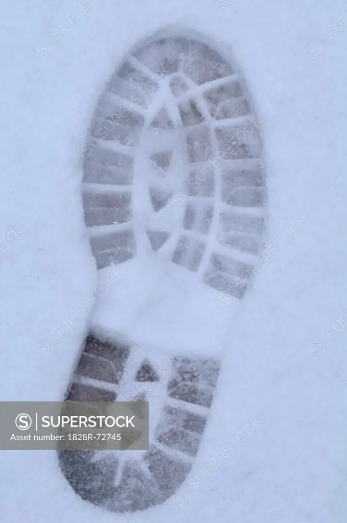 Footprint in Snow