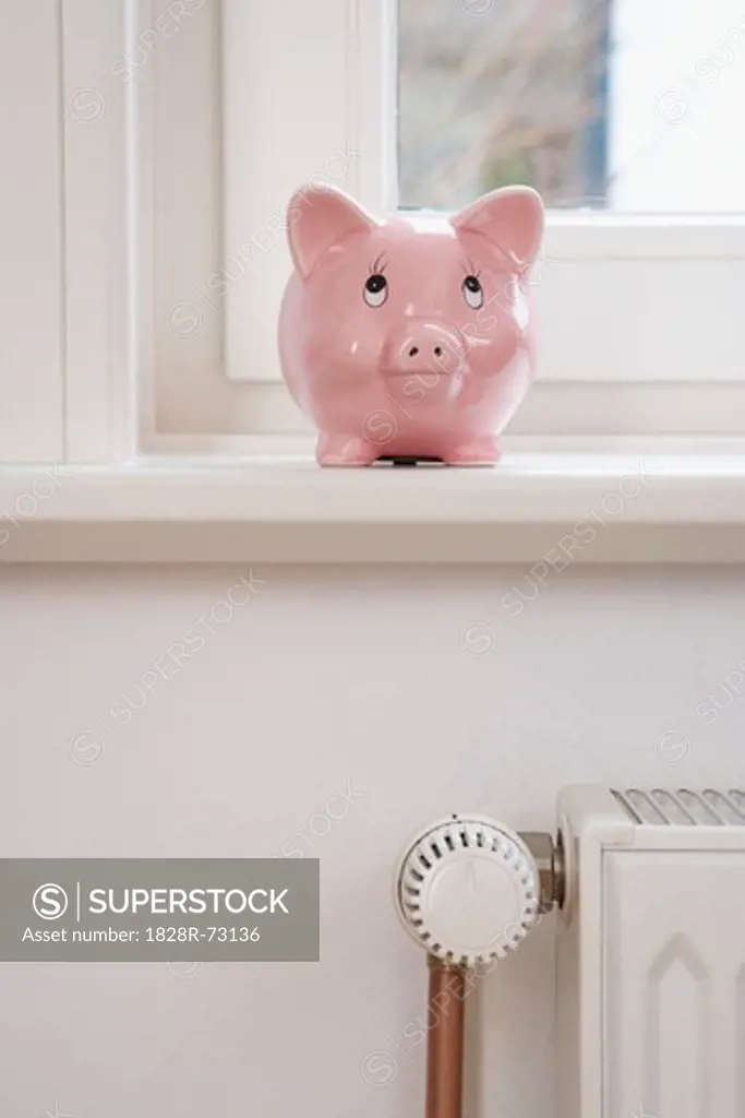 Piggy Bank and Radiator