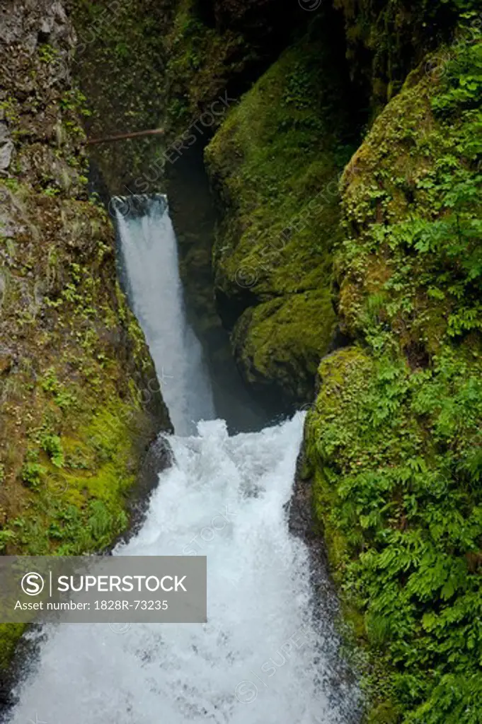Wahclella Falls Near Bonneville Dam, Columbia River Gorge, Multnomah County, Oregon, USA