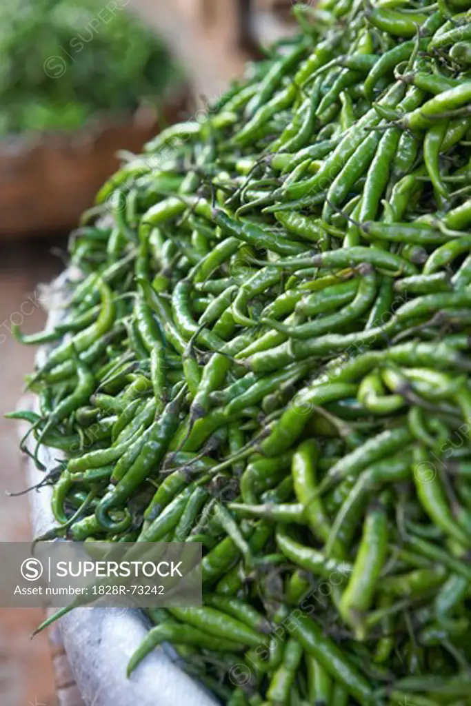 Indian Green Chilis at Market in Bangalore, Karnataka, India