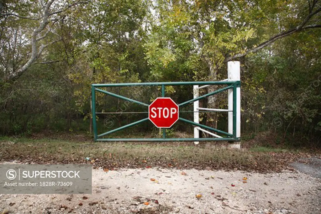 Stop Gate