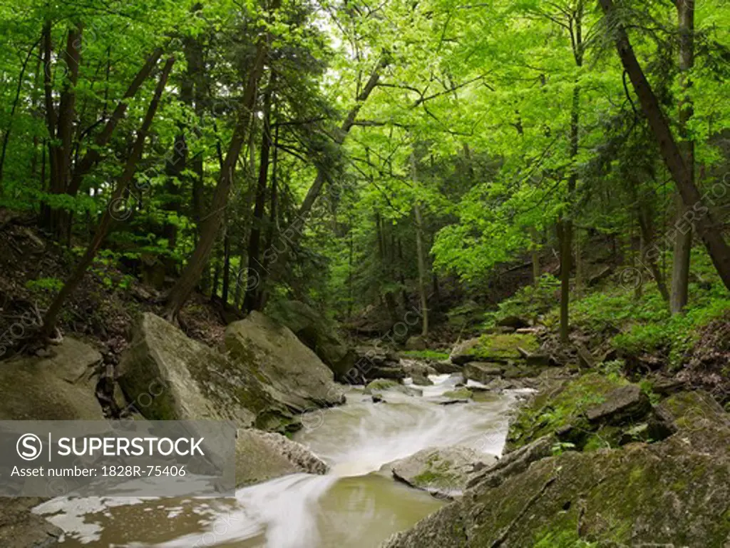 Beamer Falls Conservation Area, Grimsby, Ontario, Canada