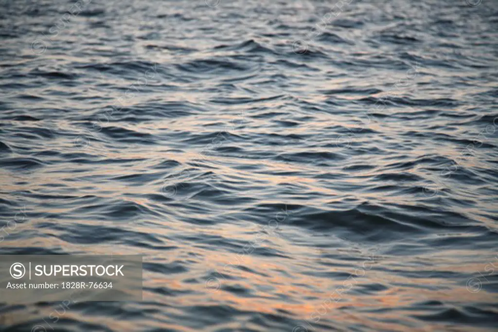 Close-up of Water at Sunset