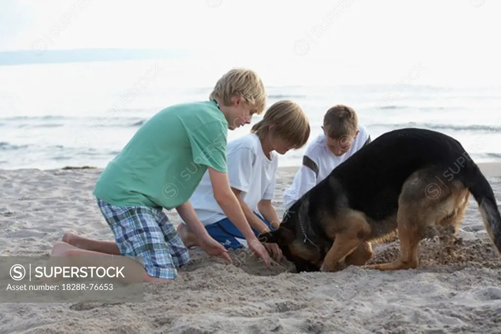 Boys and Dog Digging Sand on the Beach