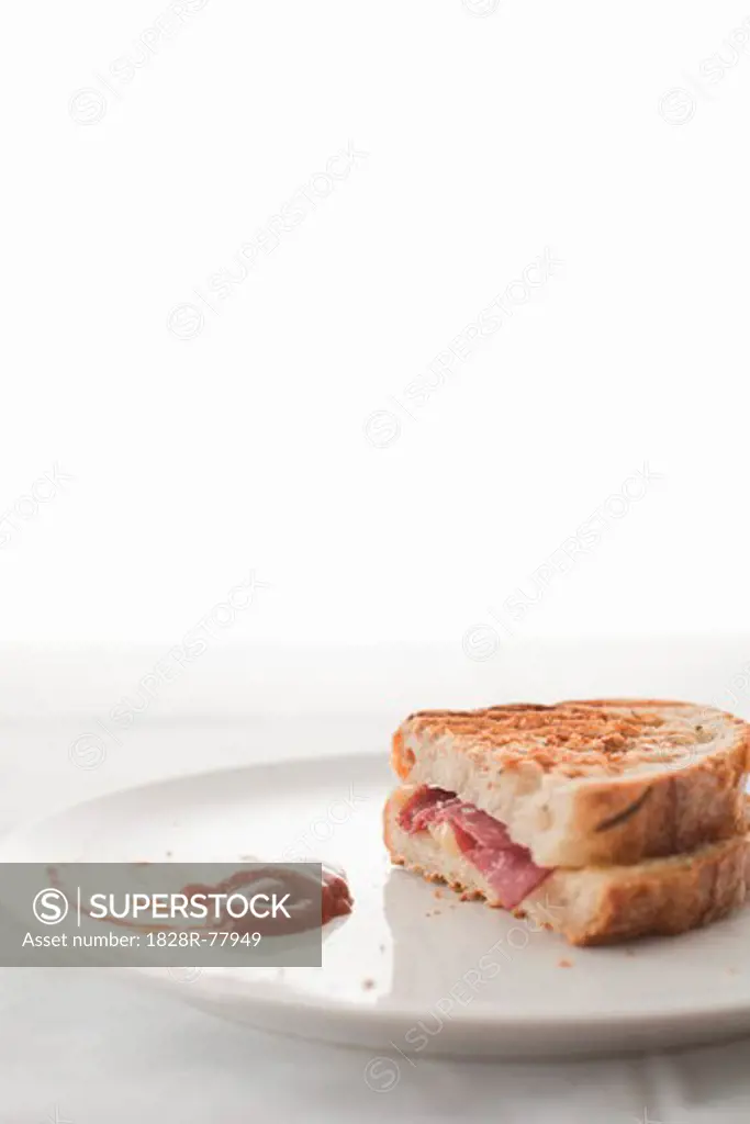 Grilled Meat and Cheese Sandwich