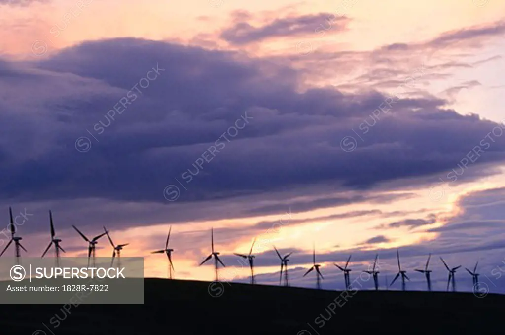 Wind Turbines, Pincher Creek, Alberta, Canada   