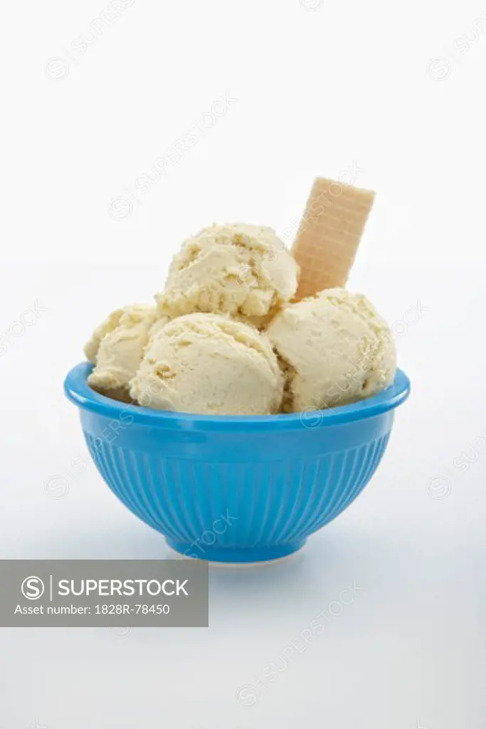 Bowl of Vanilla Ice Cream