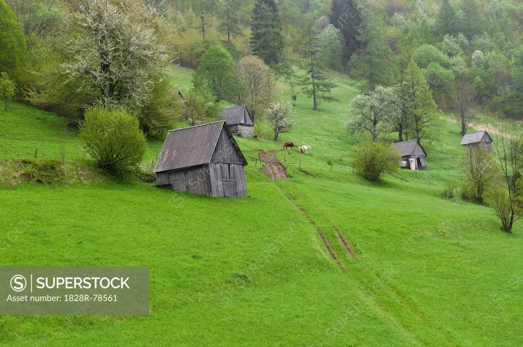 Soca Valley, Slovenia