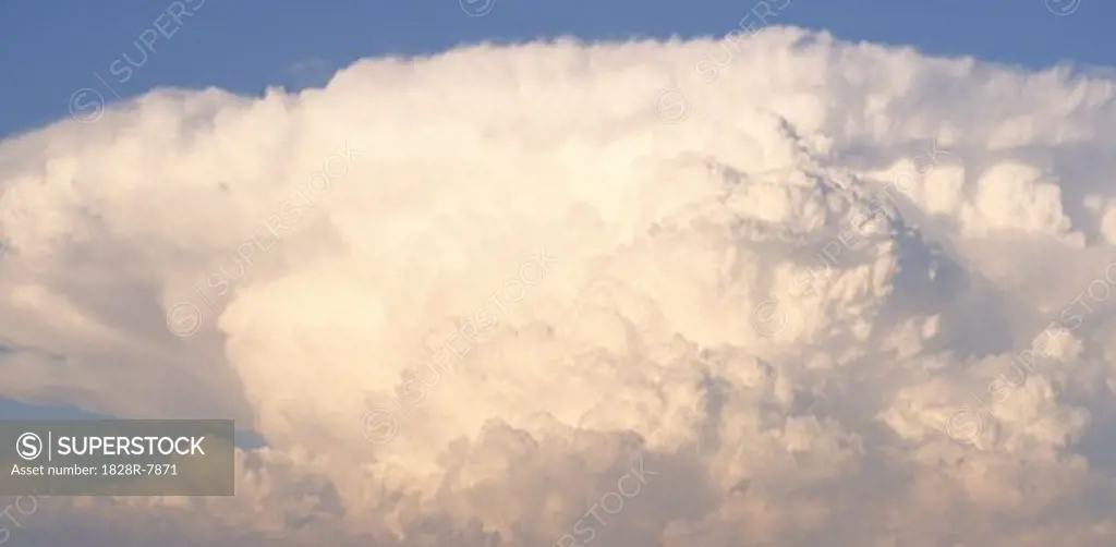 Cumulus Clouds, Namaqualand, South Africa   
