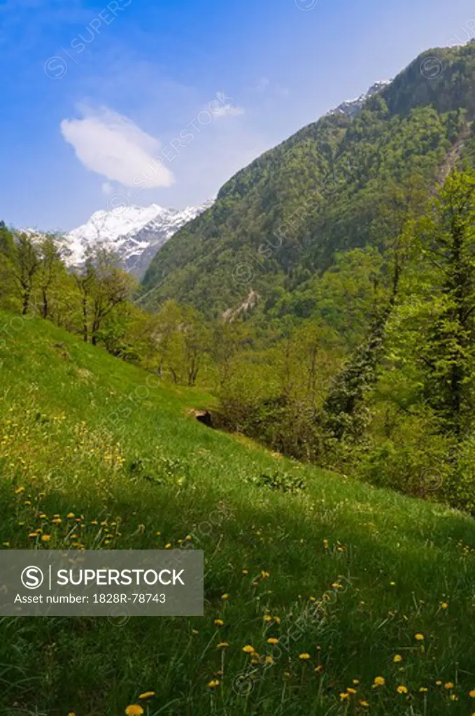 Mountain and Landscape, Slovenia