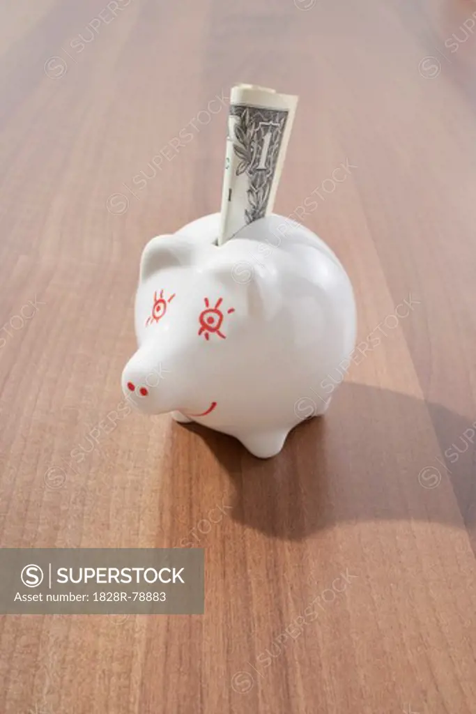Piggy Bank and Dollar Bill