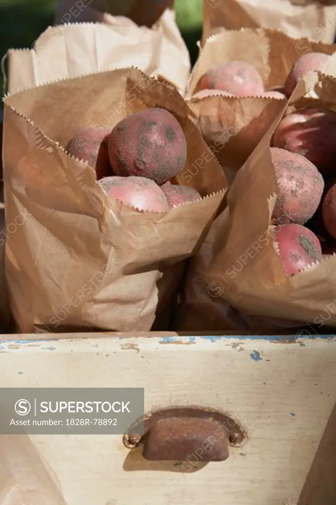 Red Potatoes at Farmer's Market, Vest-Agder, Southern Norway, Norway