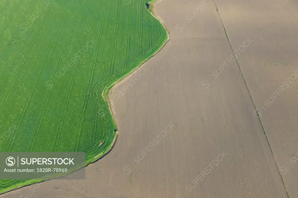 Aerial View of Edge of Wheat Field, Cadiz Province, Andalusia, Spain