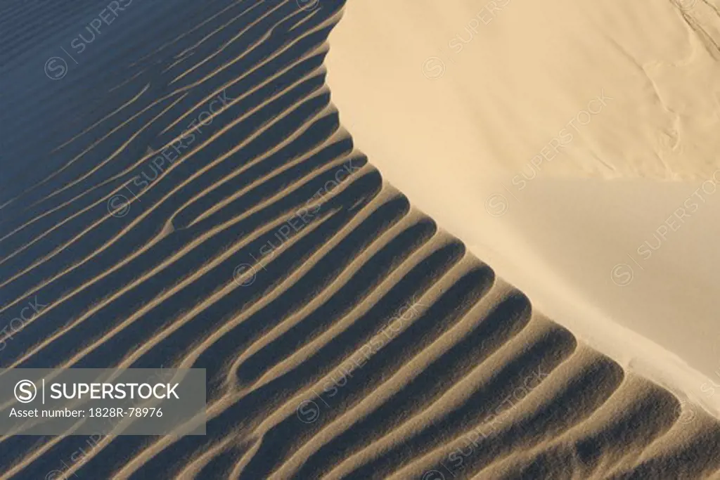 Ripples in Sand Dunes at Beach near Cadiz, Costa De La Luz, Cadiz Province, Andalusia, Spain