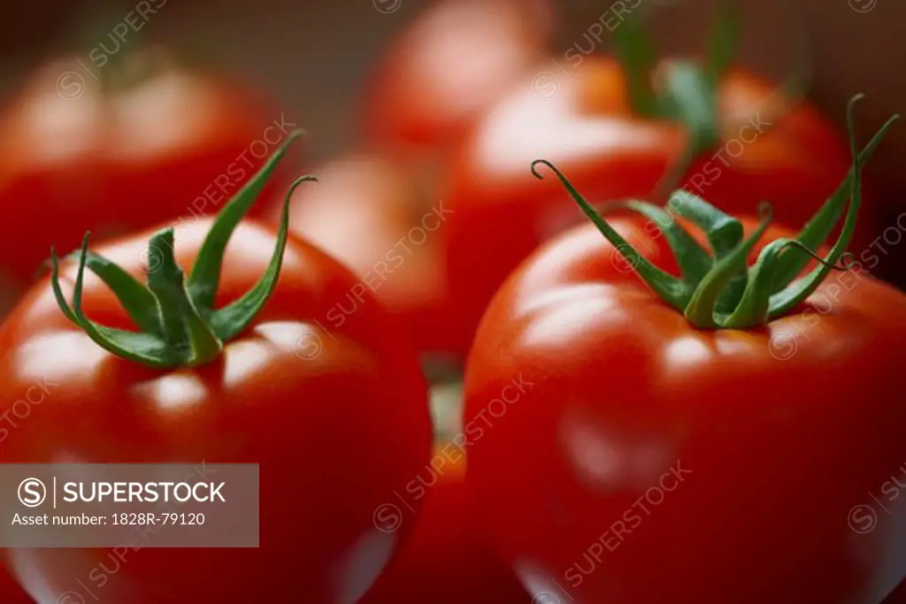 Close-up of Tomatoes