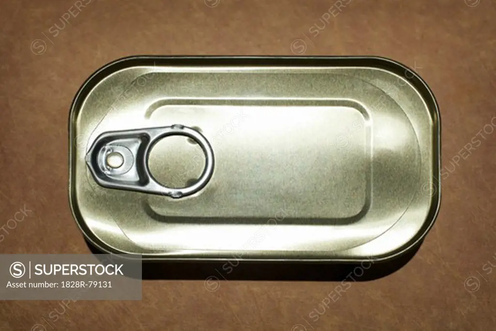Can of Sardines