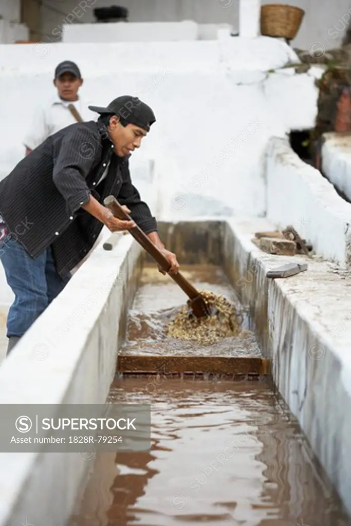 Washing and Drying Coffee Beans, Finca Vista Hermosa Coffee Plantation, Agua Dulce, Huehuetenango Department, Guatemala