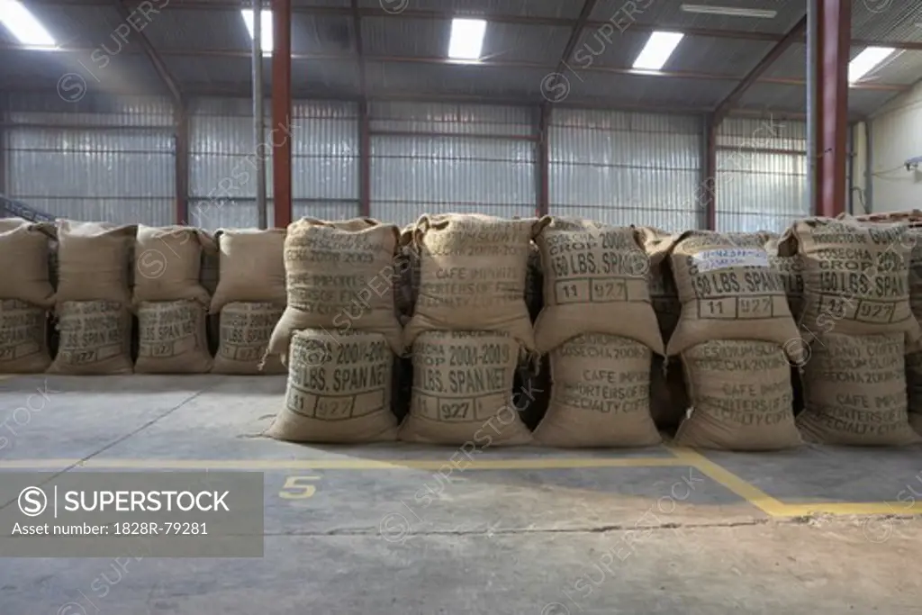 Coffee Packed in Burlap Sacks, Cofeco S.A. Dry Mill, Huehuetenango Department, Guatemala