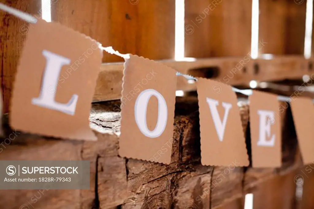 Sign Spelling the Word Love