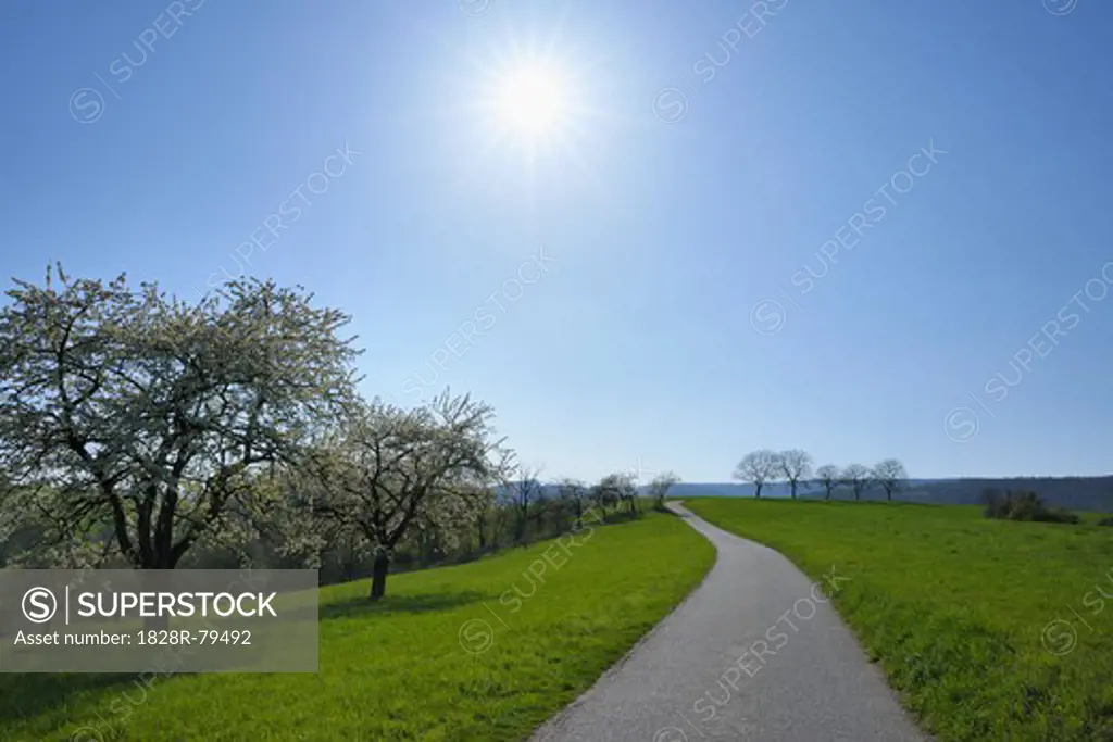 Path, Odenwald, Hesse, Germany