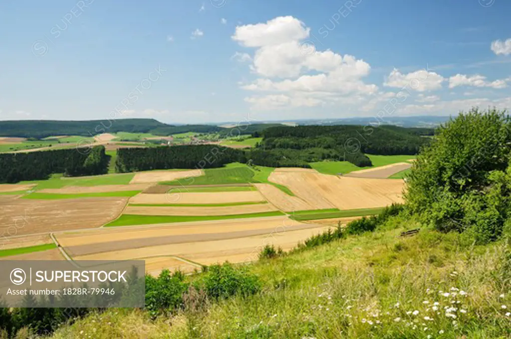 Baar and Black Forest View From, Fuerstenberg, Baden-Wurttemberg, Germany