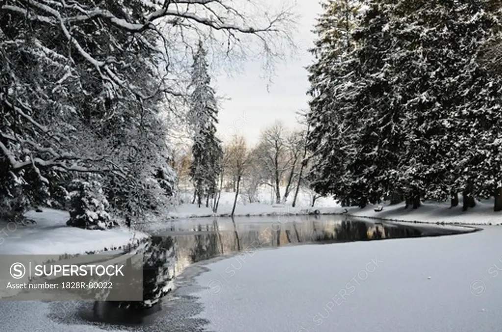 Winter Landscape near Koenigsfeld, Black Forest, Baden-Wurttemberg, Germany