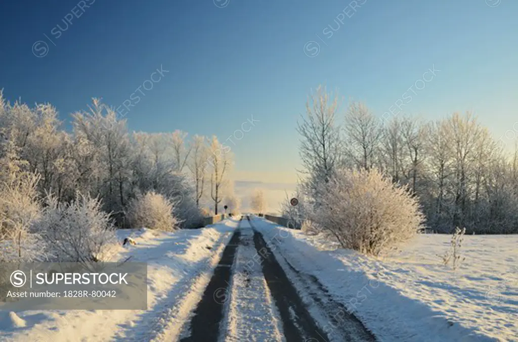 Road Through Winter Landscape, near Villingen-Schwenningen, Black Forest, Schwarzwald-Baar, Baden-Wurttemberg, Germany