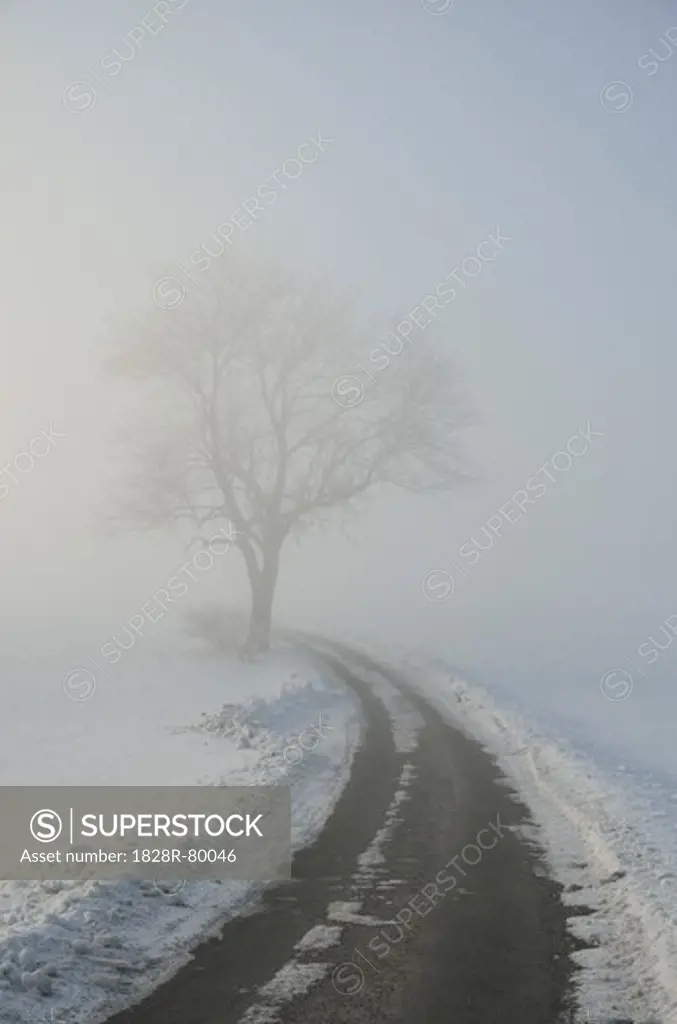 Road Through Winter Landscape, near Villingen-Schwenningen, Black Forest, Schwarzwald-Baar, Baden-Wurttemberg, Germany