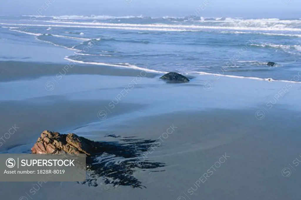 Atlantic Coast, Boulderbaai, Cape Province, South Africa   