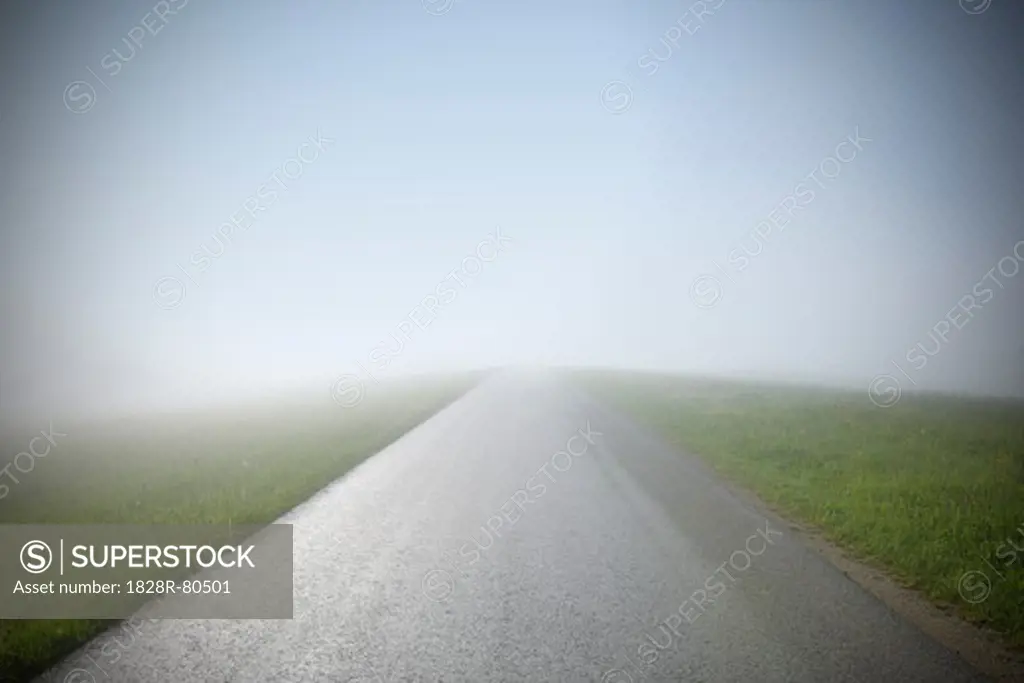 Empty Road with Fog, Mostviertel, Lower Austria, Austria