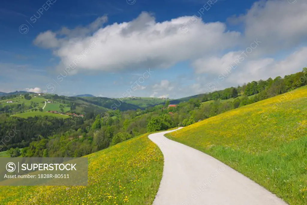 Meadow with Road, Mostviertel, Lower Austria, Austria