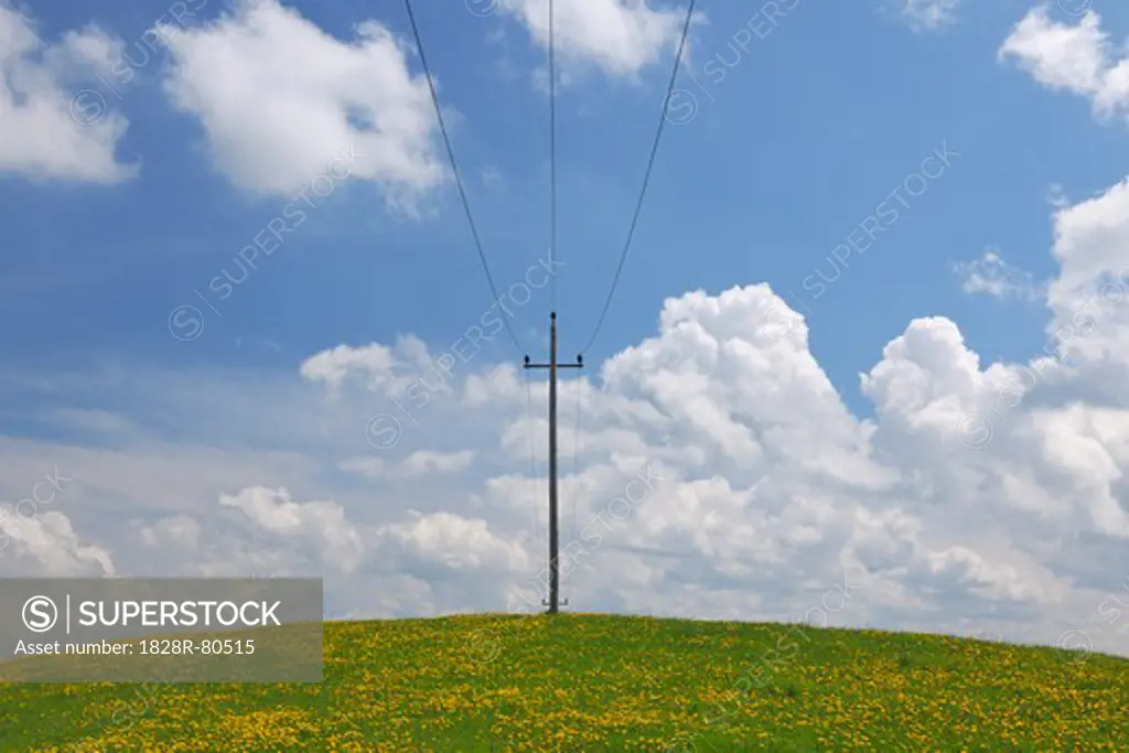 Utility Pole in Meadow, Sonntagberg, Mostviertel, Lower Austria, Austria
