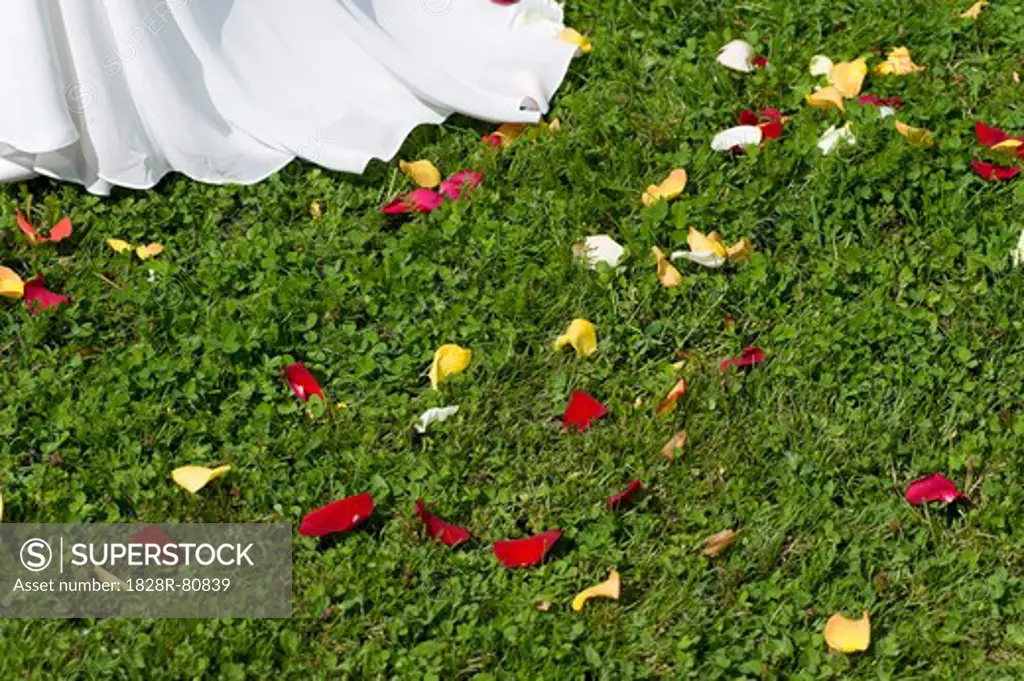 Flower Petals and Edge of Wedding Dress, Gmunden, Upper Austria, Austria